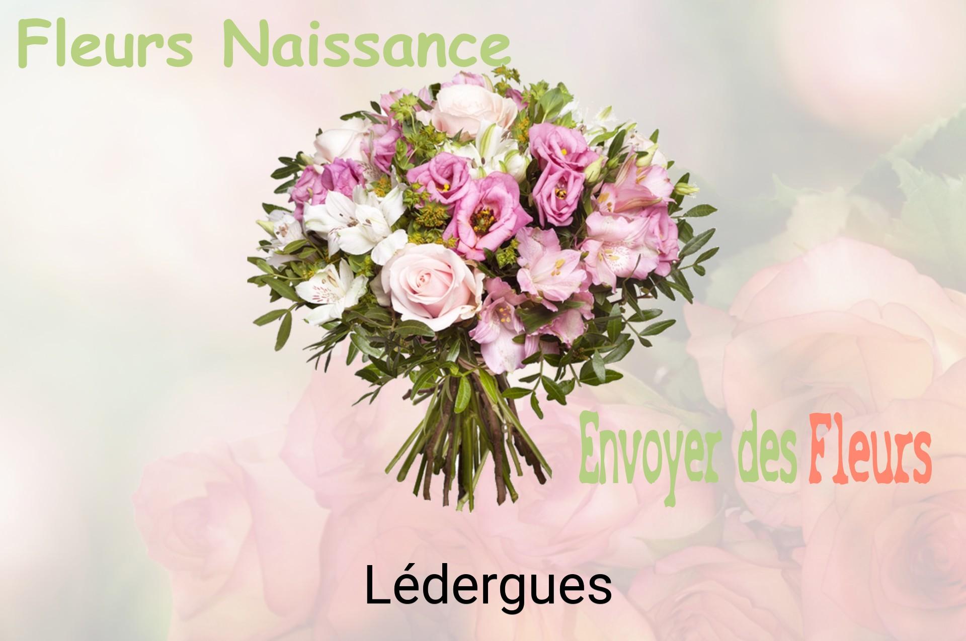 Bouquet de fleurs de naissance livré à Lédergues